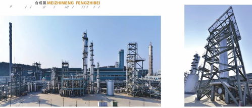 中國化工報聚焦四川美豐，一項關鍵工藝通過科技成果鑒定