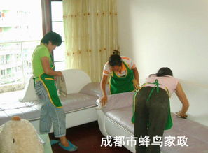 雙流保潔公司 專(zhuān)業(yè)清洗油煙機(jī)，守護(hù)廚房健康環(huán)境