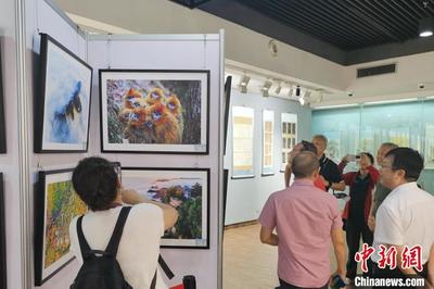 讓世界看見秦嶺 文化宣傳活動優秀作品展在西安啟幕